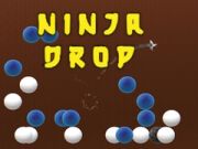 Oyunu Ninja Düşüşü çevrimiçi Oyunu Ninja Düşüşü çevrimiçi