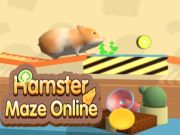Oyunu Hamster Labirent Çevrimiçi çevrimiçi