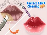 Oyunu Mükemmel ASMR Temizleme çevrimiçi