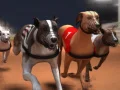 Oyunu Hızlı köpek yarışı çevrimiçi