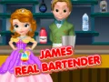 Oyunu James Gerçek Bartender çevrimiçi Oyunu James Gerçek Bartender çevrimiçi