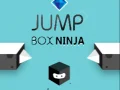 Oyunu Zıplayan Kutu Ninja çevrimiçi