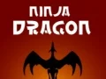 Oyunu Ninja Ejderha çevrimiçi