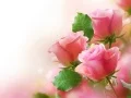Oyunu Pembe Güller çevrimiçi Oyunu Pembe Güller çevrimiçi
