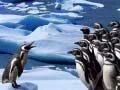 Oyunu Penguenler Kayıyor çevrimiçi