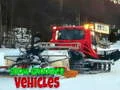 Oyunu Kar Temizleme Araçları çevrimiçi