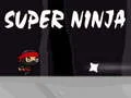 Oyunu Süper ninja çevrimiçi