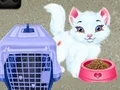 Oyunu Baby Taylor Hayvan Bakımı çevrimiçi