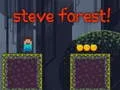 Oyunu Steve Ormanı çevrimiçi Oyunu Steve Ormanı çevrimiçi