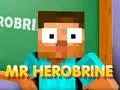 Oyunu Bay Herobrine çevrimiçi