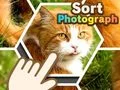 Oyunu Fotoğraf Sırala çevrimiçi Oyunu Fotoğraf Sırala çevrimiçi