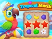 Oyunu Tropikal Eşleştirme çevrimiçi