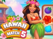 Oyunu Hawaii Eşleştir 5 çevrimiçi