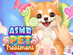 Oyunu ASMR Evcil Hayvan Tedavisi çevrimiçi