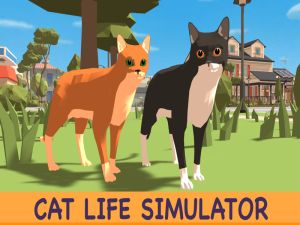 Oyunu Kedi hayat simülatörü çevrimiçi