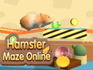 Oyunu Hamster Labirent Çevrimiçi çevrimiçi