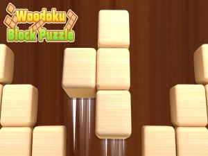 Oyunu Woodoku blok bulmaca çevrimiçi
