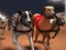 Oyunu Hızlı köpek yarışı çevrimiçi