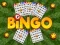 Oyunu Bingo çevrimiçi
