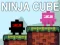 Oyunu Ninja Küp çevrimiçi