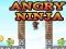 Oyunu Kızgın Ninja çevrimiçi