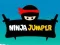 Oyunu Ninja Zıplayıcı çevrimiçi