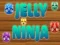 Oyunu Jöle Ninja çevrimiçi