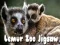 Oyunu Lemur Hayvanat Bahçesi Yapbozu çevrimiçi