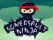Oyunu Somersault Ninja çevrimiçi