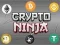 Oyunu Kripto Ninja çevrimiçi