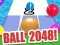 Oyunu Top 2048 çevrimiçi
