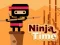 Oyunu Ninja Zamanı çevrimiçi