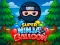 Oyunu Super Ninja Balloon çevrimiçi