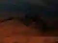 Oyunu Uzaylı Böcek Shooter çevrimiçi Oyunu Uzaylı Böcek Shooter çevrimiçi
