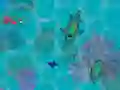 Oyunu Sharkz.io çevrimiçi