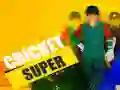 Oyunu Süper Kriket çevrimiçi Oyunu Süper Kriket çevrimiçi