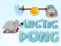 Oyunu Arktik Pong çevrimiçi