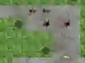 Oyunu Örümcek Kule Savunması çevrimiçi Oyunu Örümcek Kule Savunması çevrimiçi