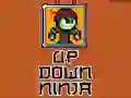 Oyunu Yukarı Aşağı Ninja çevrimiçi