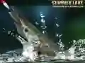 Oyunu Yaz Gölü çevrimiçi Oyunu Yaz Gölü çevrimiçi