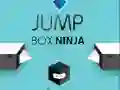 Oyunu Zıplayan Kutu Ninja çevrimiçi Oyunu Zıplayan Kutu Ninja çevrimiçi