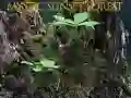 Oyunu Mistık günbatımı ormanı çevrimiçi