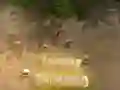 Oyunu Kule Savunması çevrimiçi Oyunu Kule Savunması çevrimiçi