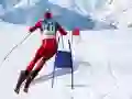 Oyunu Slalom Kayak Simülatörü çevrimiçi Oyunu Slalom Kayak Simülatörü çevrimiçi