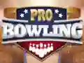 Oyunu Profesyonel Bowling çevrimiçi