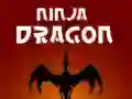 Oyunu Ninja Ejderha çevrimiçi Oyunu Ninja Ejderha çevrimiçi