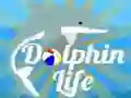 Oyunu Dolphin Hayatı çevrimiçi