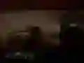Oyunu Korkutucu Orman Safari çevrimiçi Oyunu Korkutucu Orman Safari çevrimiçi