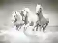 Oyunu Atlar Bulmacası çevrimiçi Oyunu Atlar Bulmacası çevrimiçi
