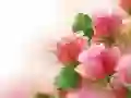 Oyunu Pembe Güller çevrimiçi Oyunu Pembe Güller çevrimiçi